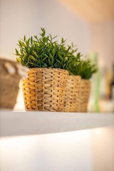 Sunny Terras, Cozy In The Dunes Cadzand Bagian luar foto